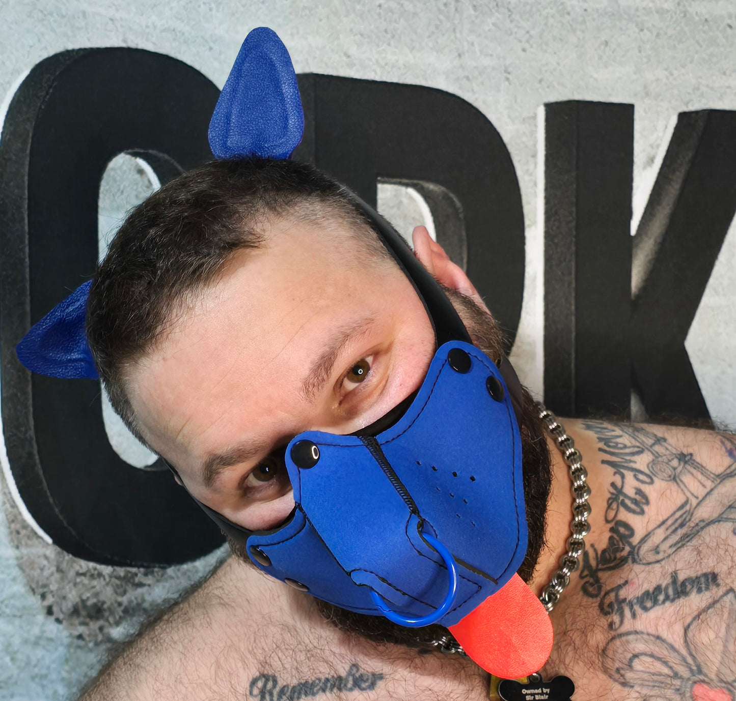 "Give it to me" Blue Puppy Hood