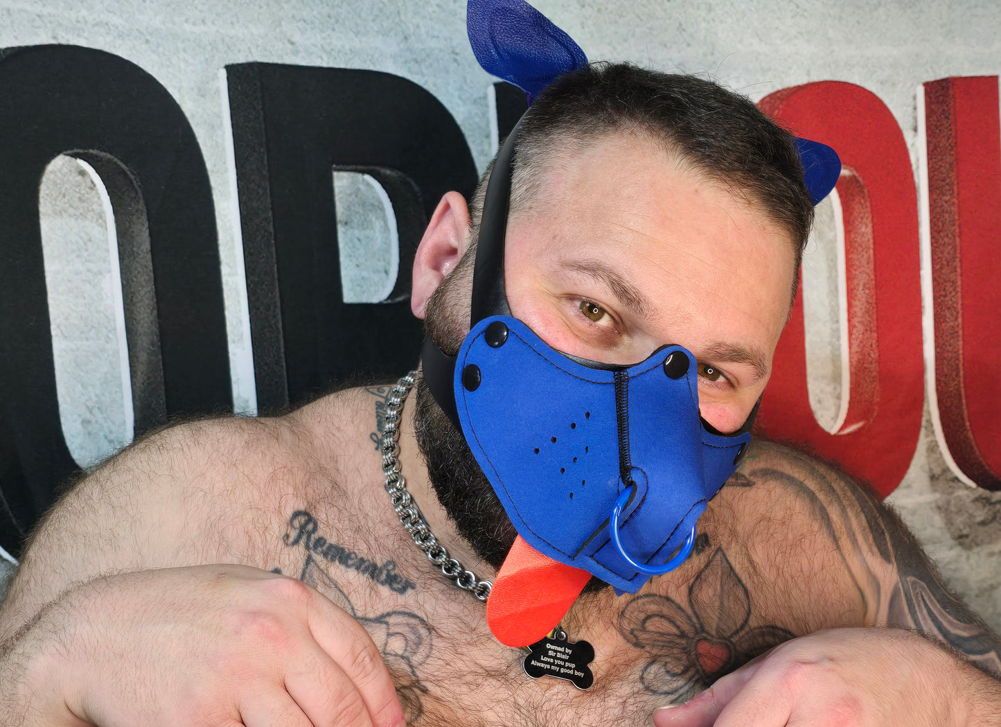 "Give it to me" Blue Puppy Hood