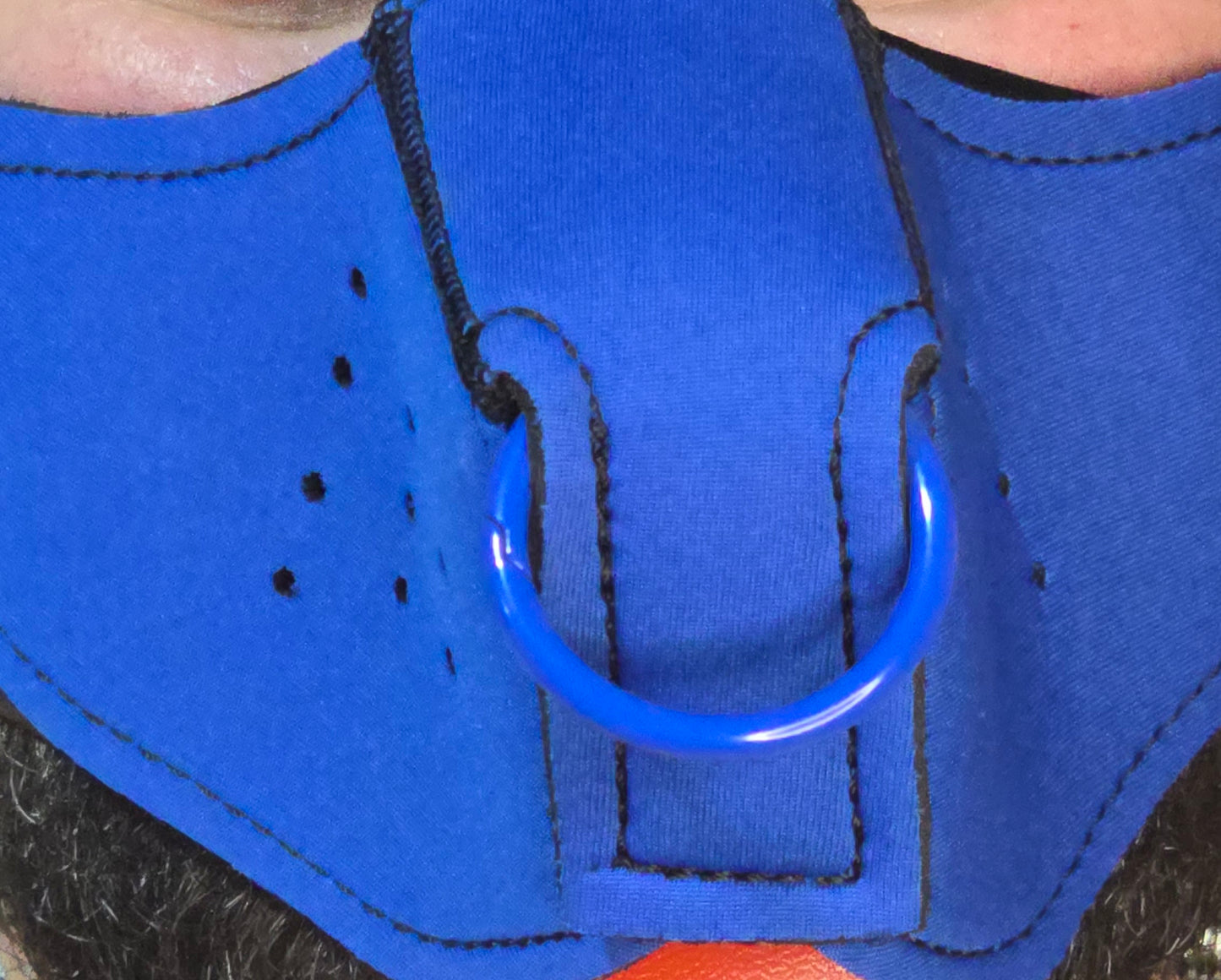 "Give it to me" Blue Puppy Hood