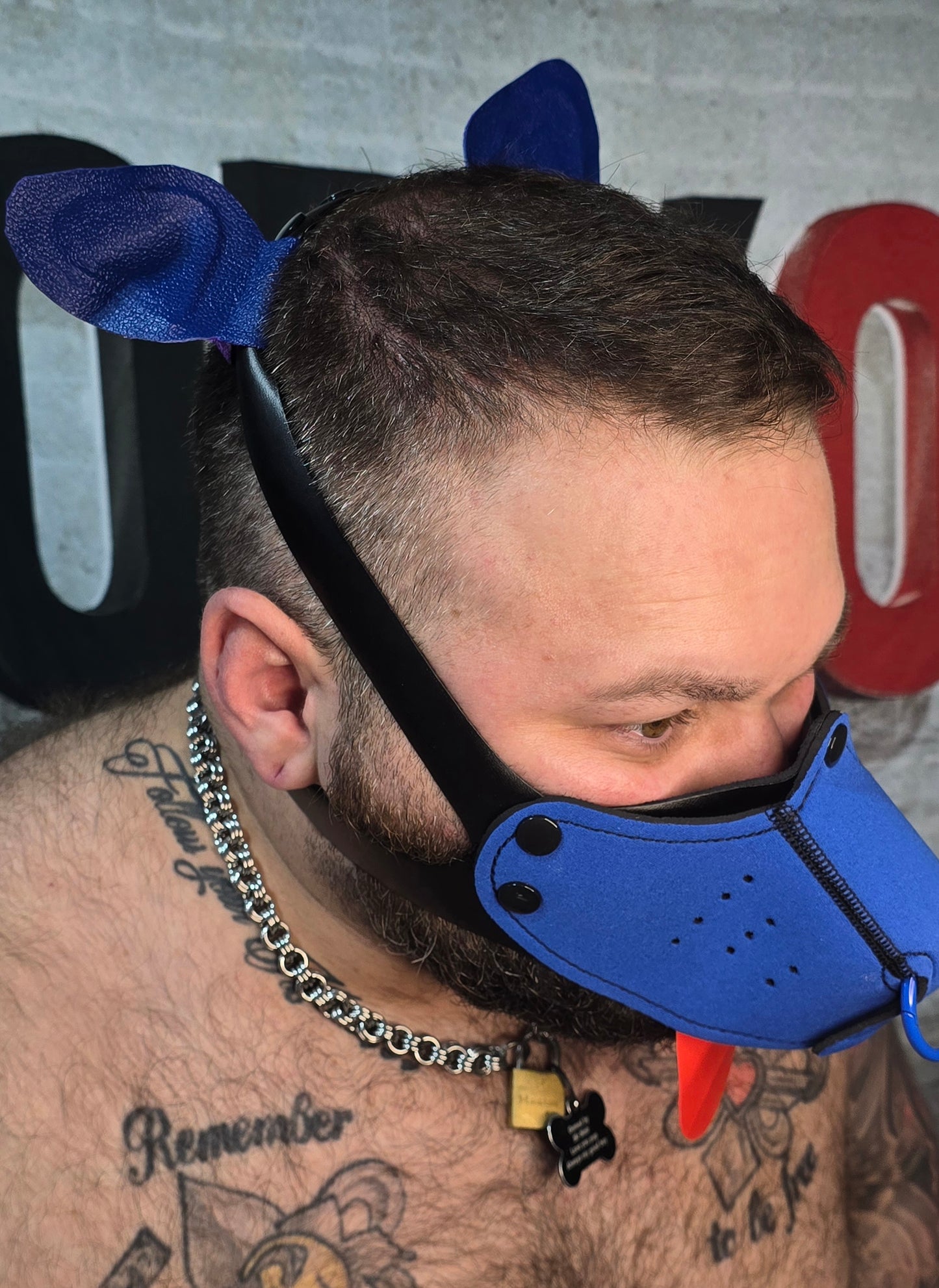 "Give it to me" Blue Puppy Hood
