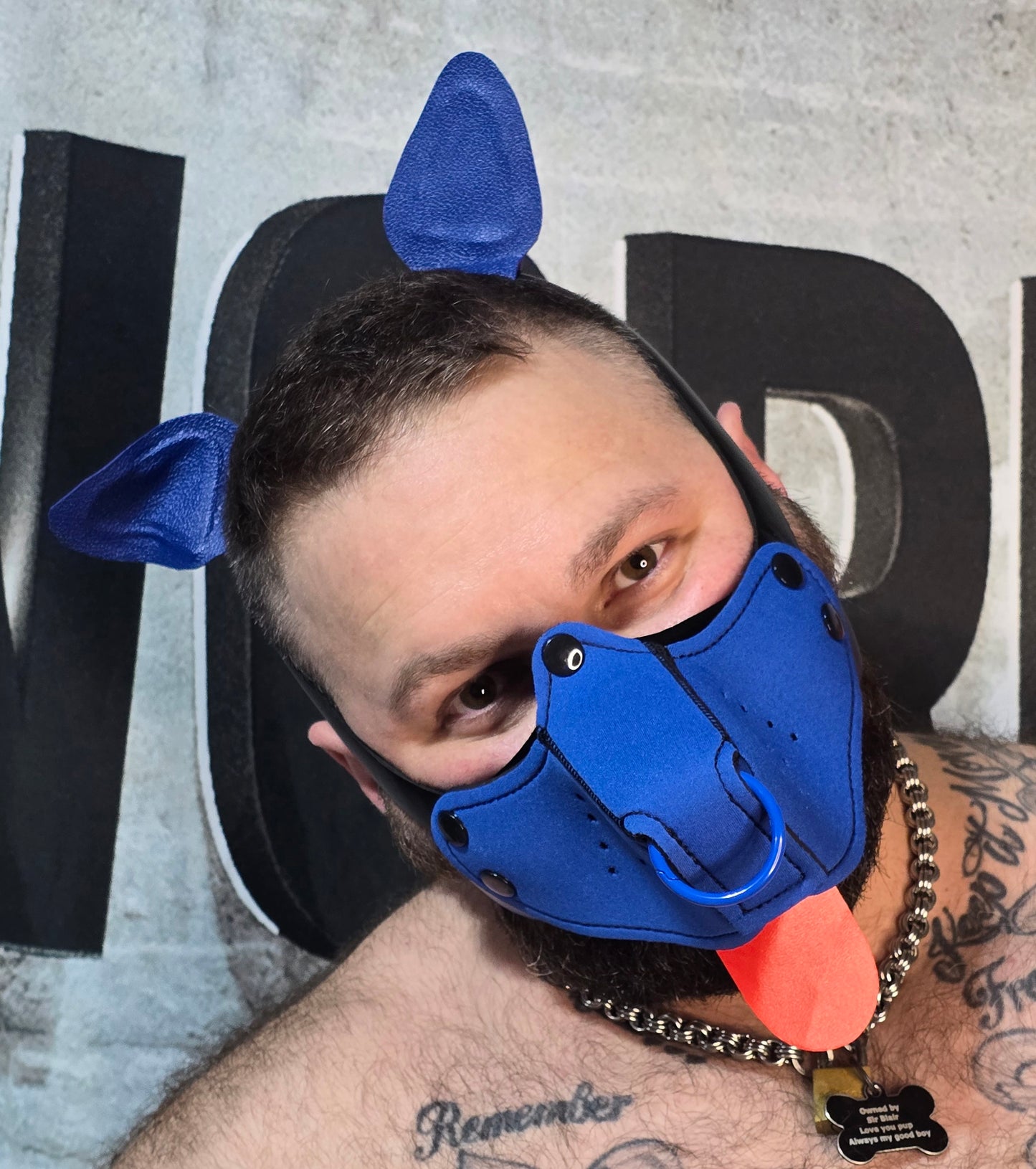 "Give it to me" Blue Puppy Hood