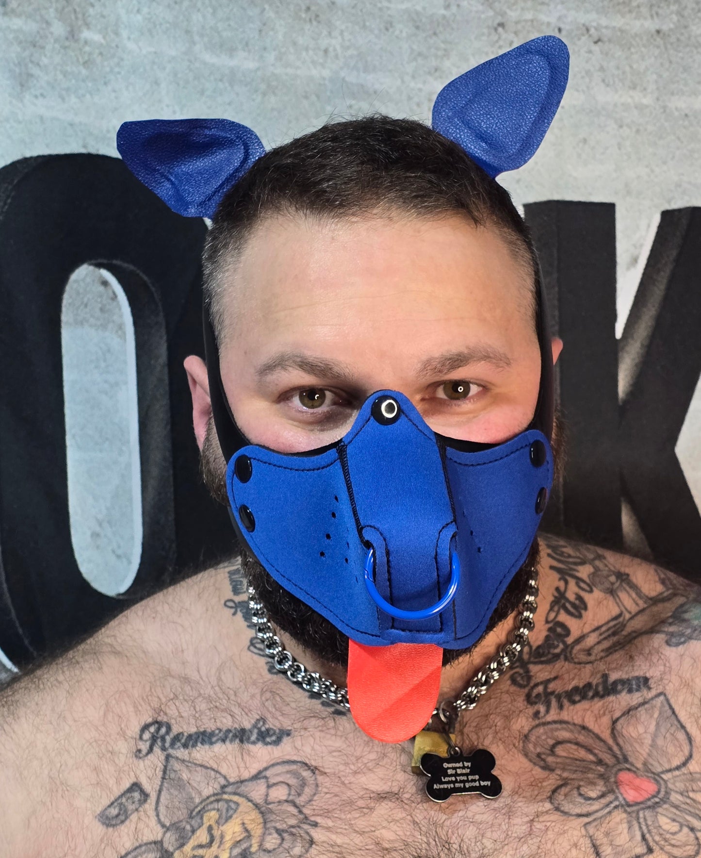 "Give it to me" Blue Puppy Hood