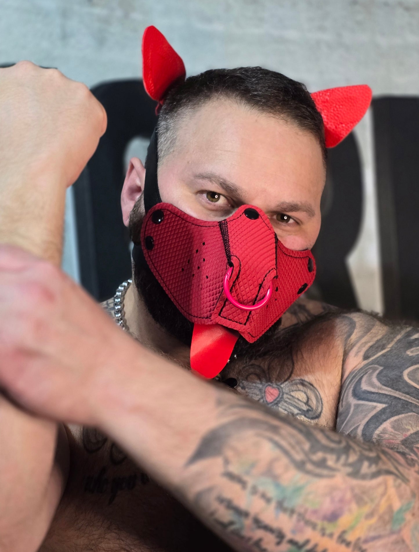 "Stick it to me" Red Puppy Hood