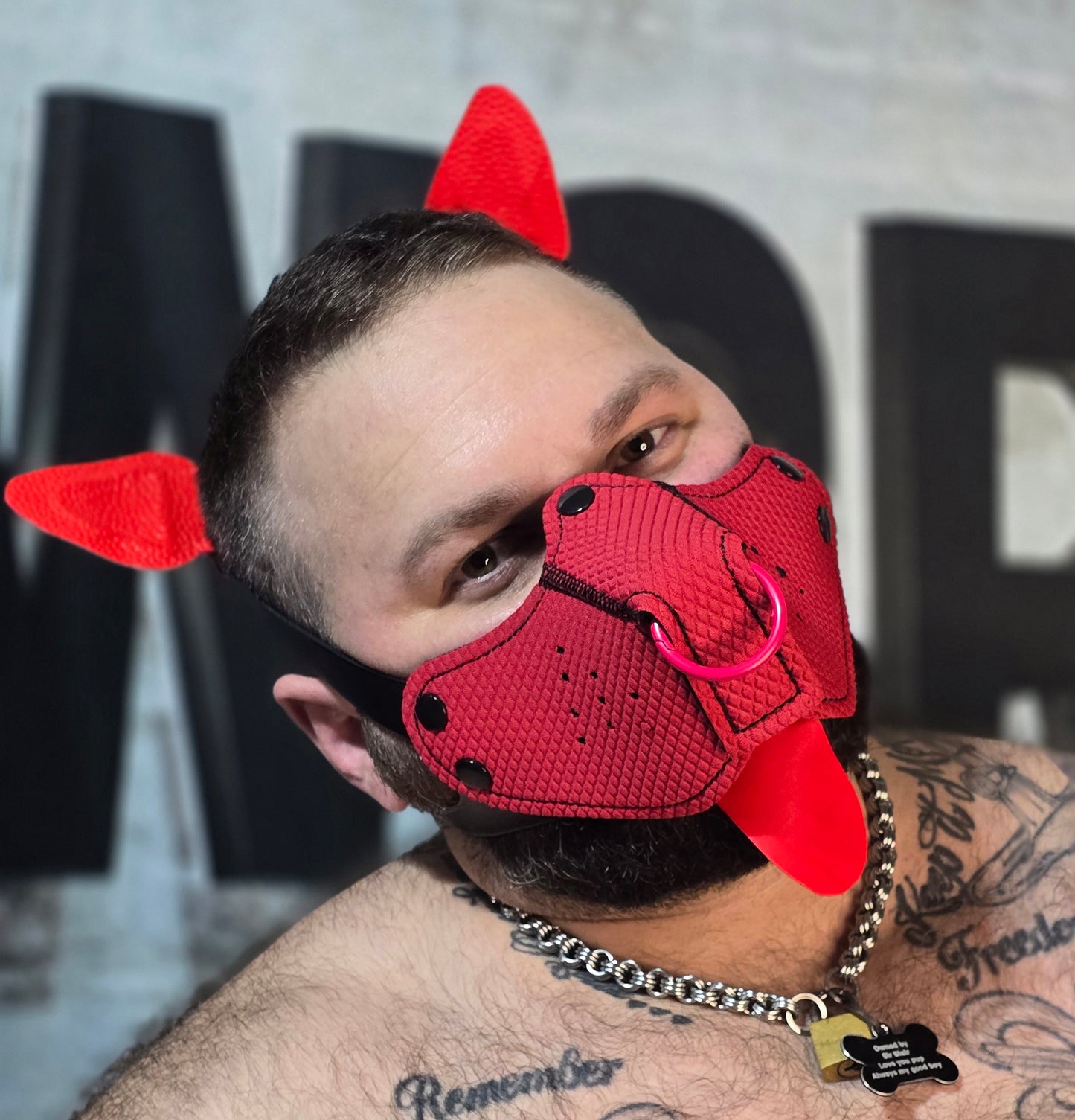 "Stick it to me" Red Puppy Hood