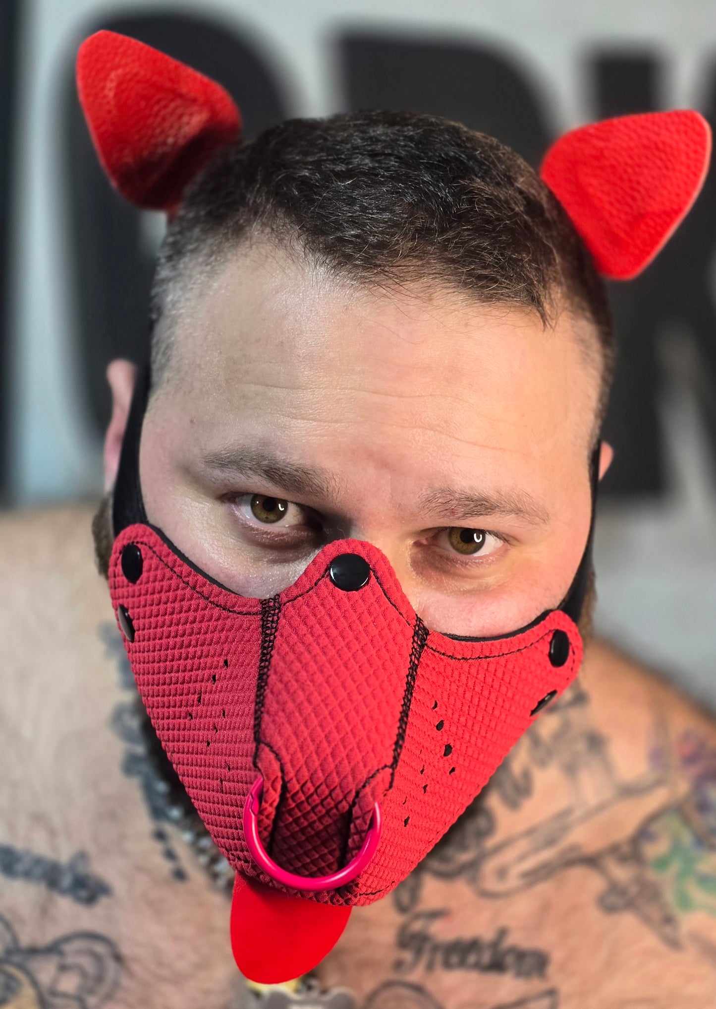 "Stick it to me" Red Puppy Hood