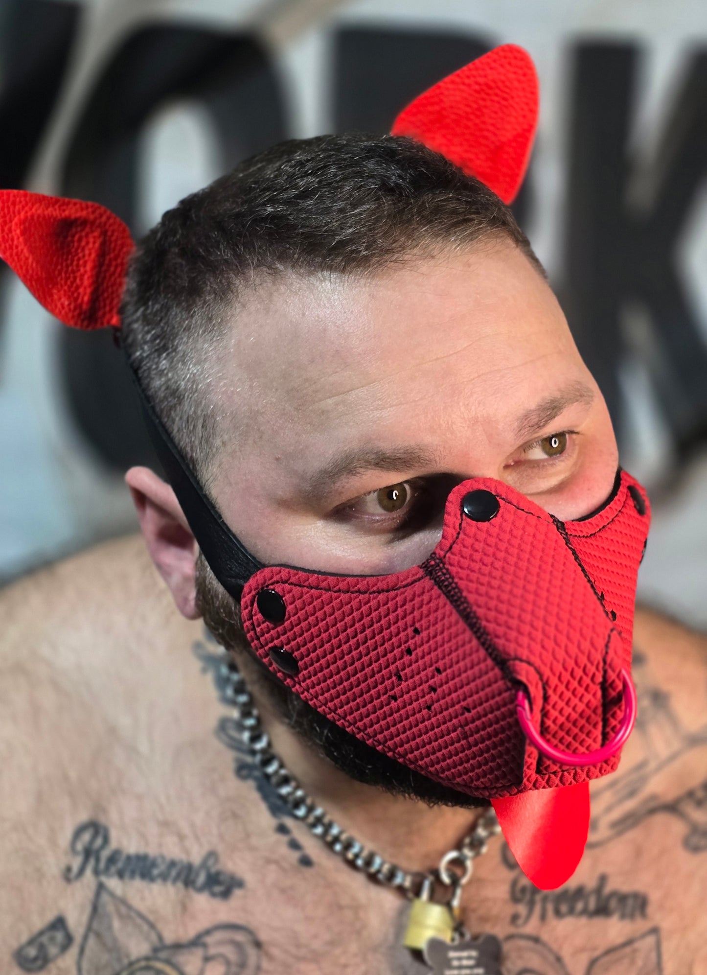 "Stick it to me" Red Puppy Hood