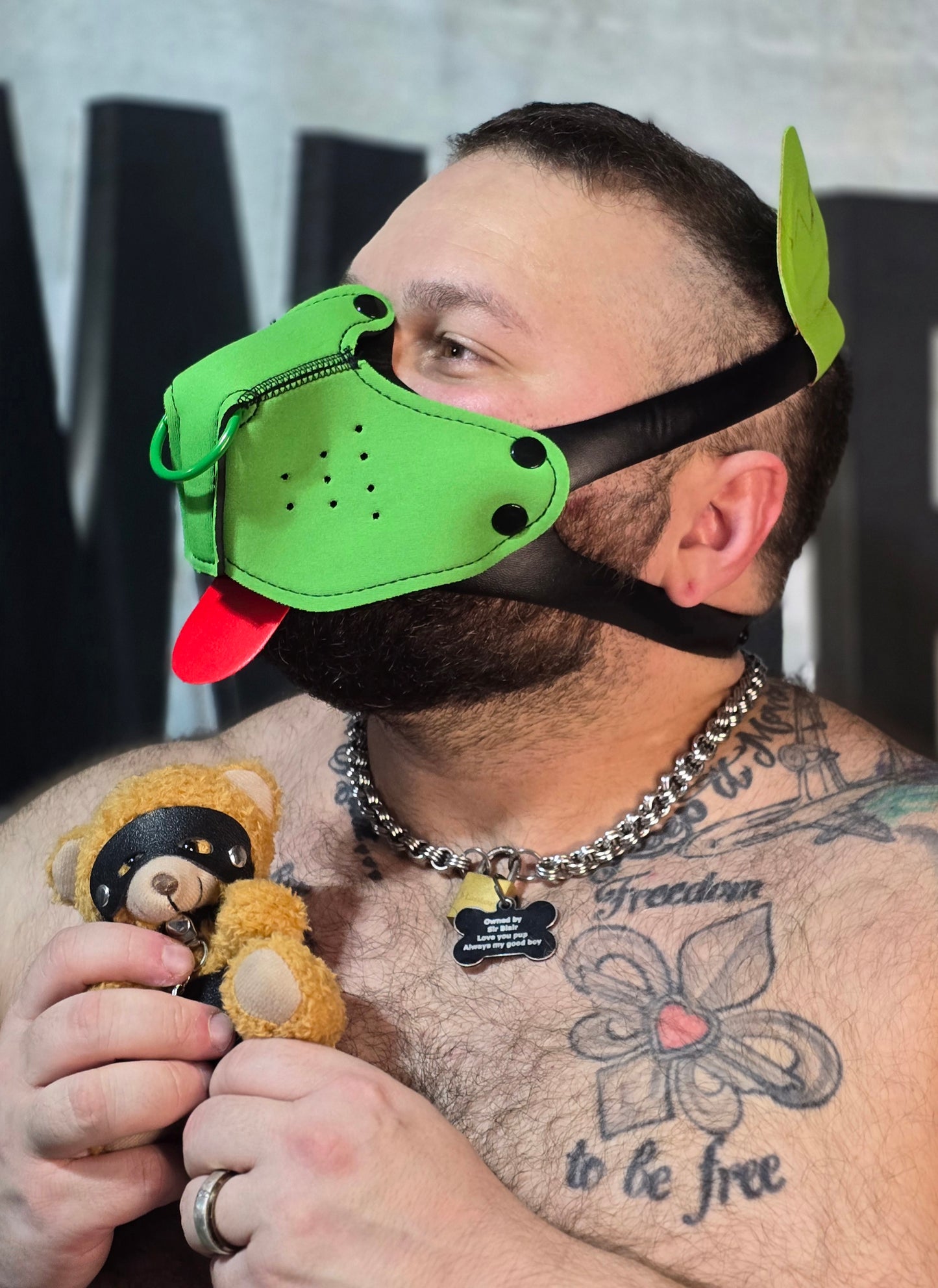 "Good Boy" Green Puppy Hood