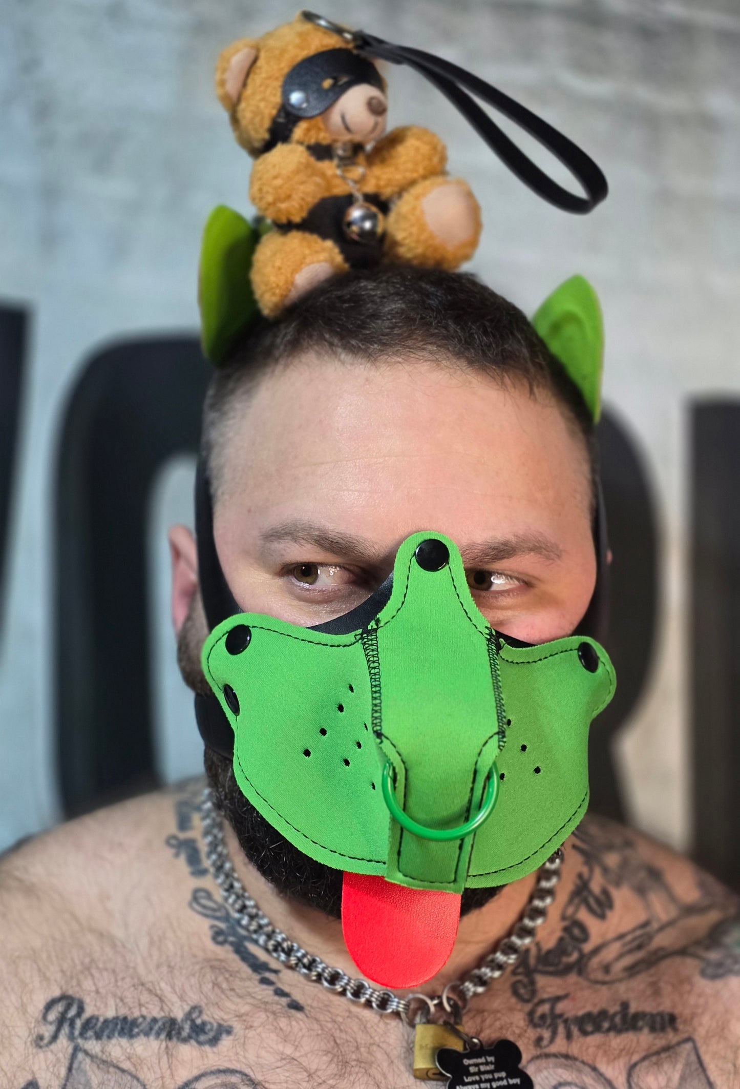 "Good Boy" Green Puppy Hood