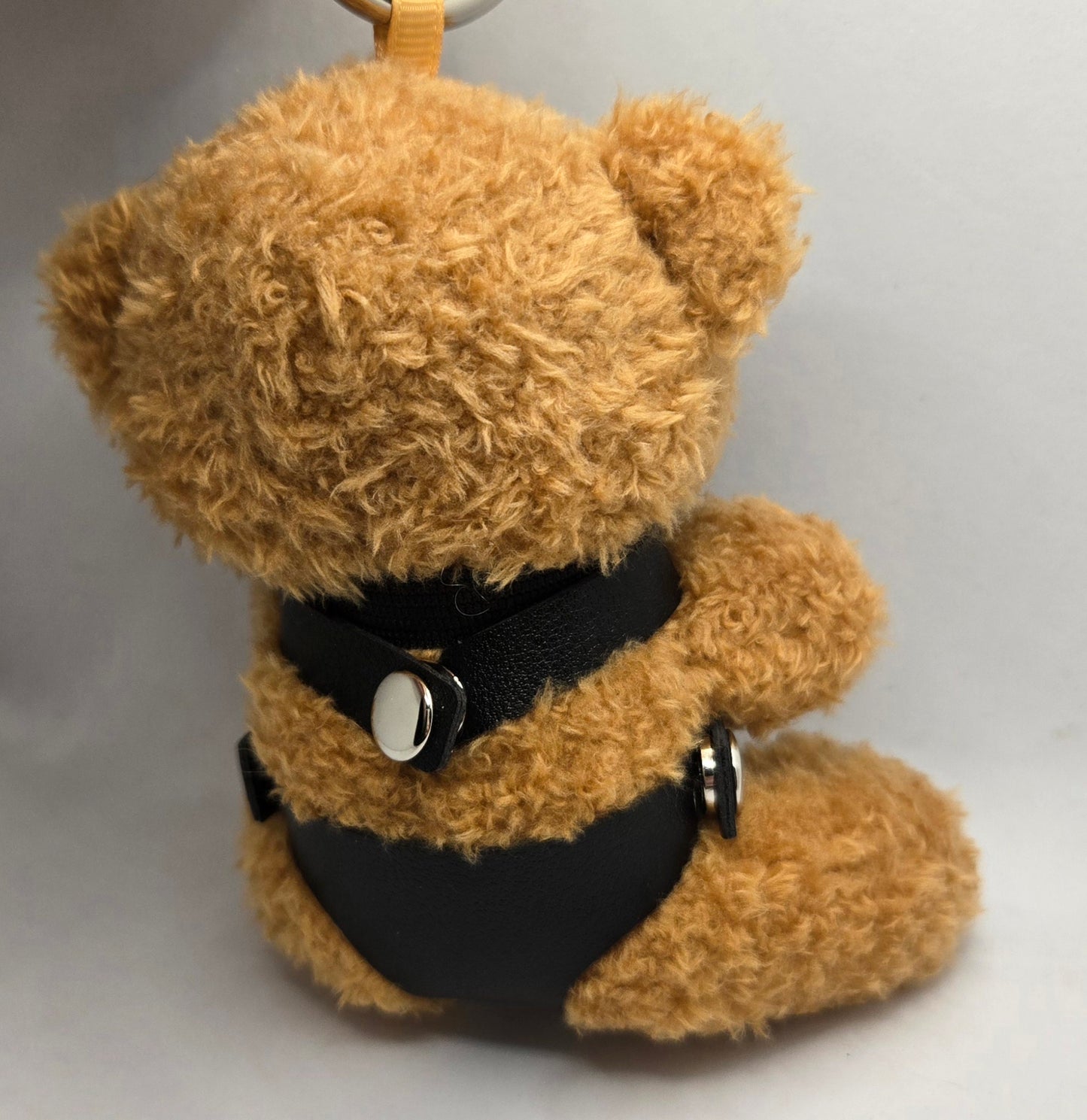 Collared Stuffed Bear