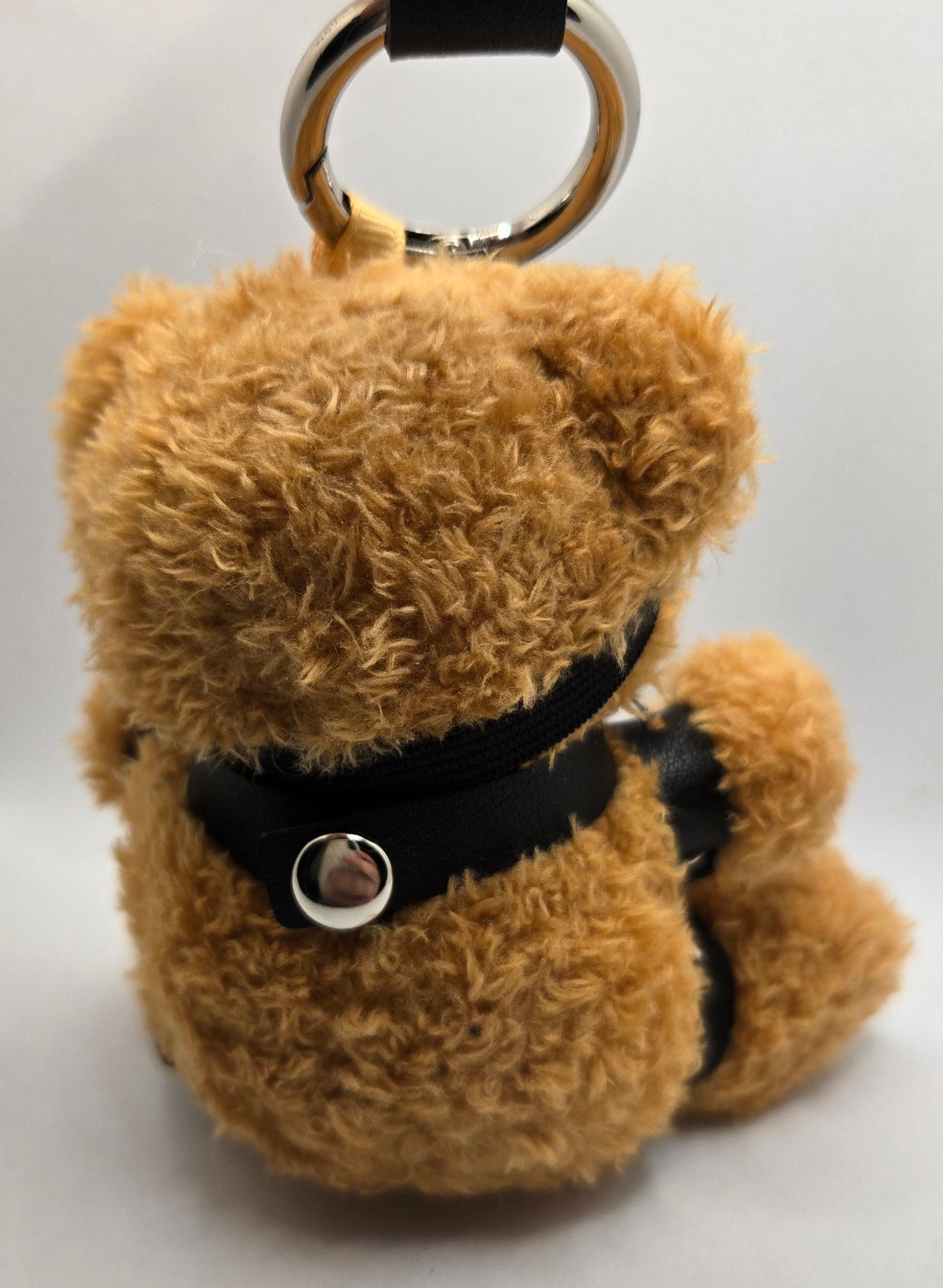 Whipped and Chained Stuff Bear