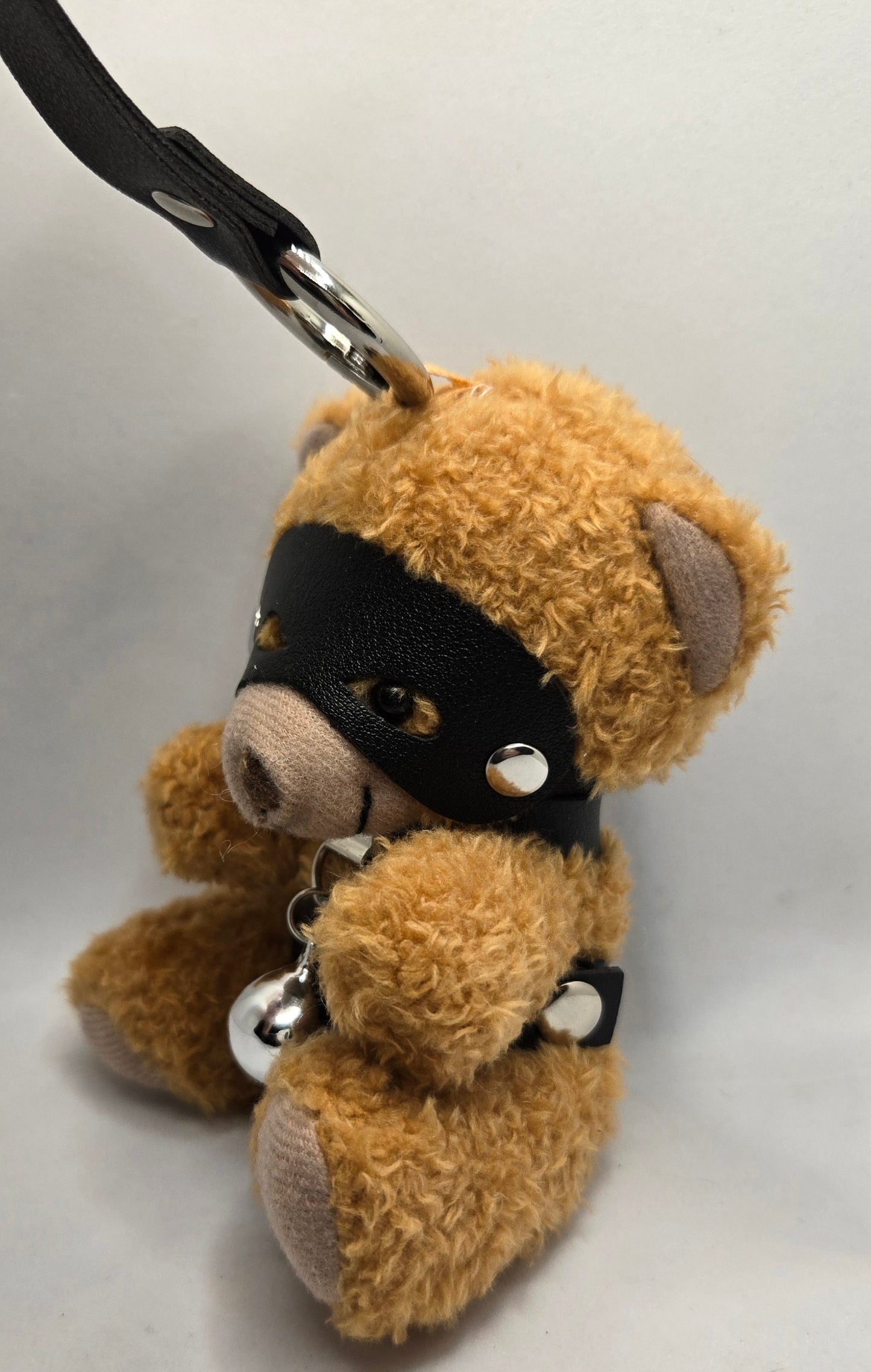 Collared Stuffed Bear