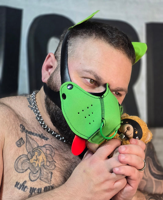 "Good Boy" Green Puppy Hood