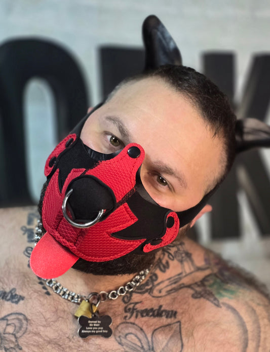 "Bear Hunter" Red and Black Puppy Hood