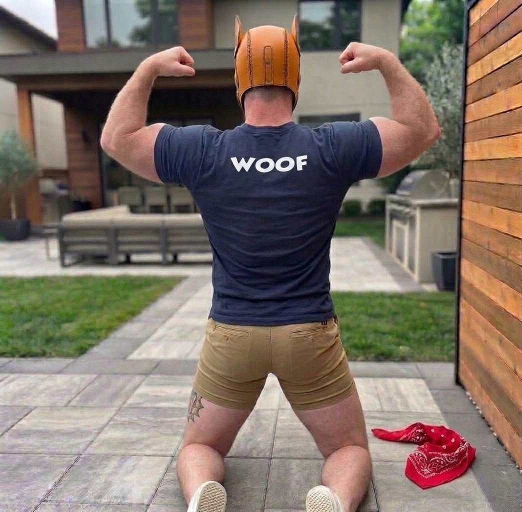 Bad Puppers T Shirt